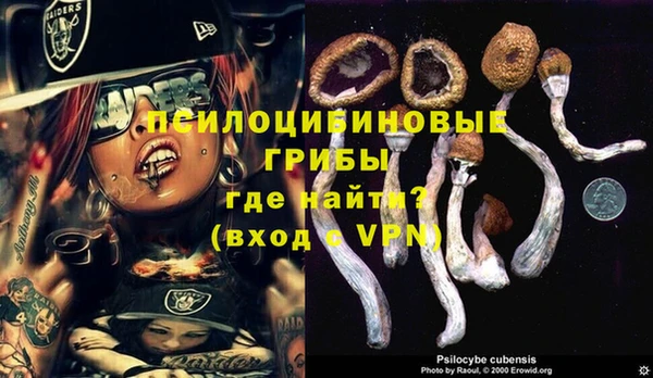 МДМА Осинники
