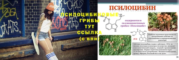 дживик Переславль-Залесский