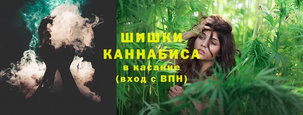 бошки Осташков